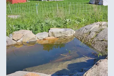 241 Cornell Road, Tiverton, RI 02878 - Photo 23