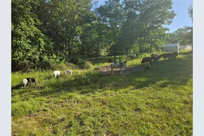 241 Cornell Road, Tiverton, RI 02878 - Photo 45