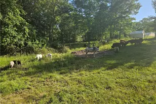 241 Cornell Rd, Tiverton, RI 02878 - Photo 45