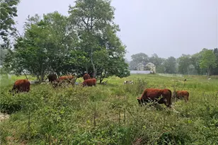 241 Cornell Rd, Tiverton, RI 02878 - Photo 43