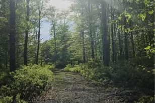 241 Cornell Rd, Tiverton, RI 02878 - Photo 37