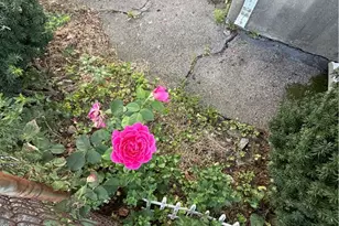 189 Woodward Rd, Providence, RI 02904 - Photo 3