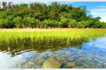 907 Coast Guard Road, Block Island, RI 02807 - Photo 27