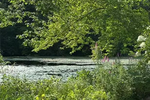 53 Sandy Brook Rd, Glocester, RI 02857 - Photo 3