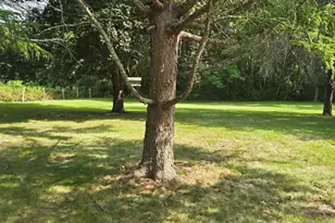107 Church St, Westerly, RI 02808 - Photo 3