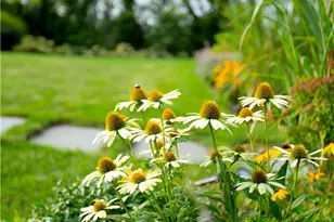 1062 Dunn Town Rd, Block Island, RI 02807 - Photo 11