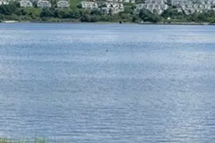 1321 Anthony Rd, Portsmouth, RI 02871 - Photo 3