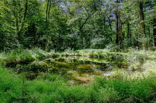 126 Cucumber Hill Rd, Foster, RI 02825 - Photo 9