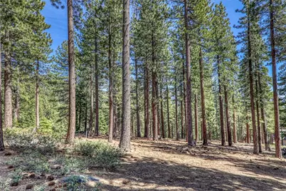 967 Jennifer Street, Incline Village, NV 89451 - Photo 39