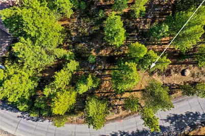 1205 Douglas Fir Drive, Reno, NV 89511 - Photo 15