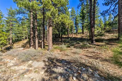 1205 Douglas Fir Drive, Reno, NV 89511 - Photo 19