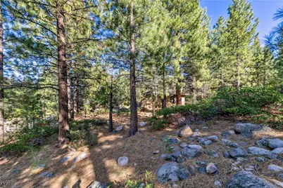 1205 Douglas Fir Drive, Reno, NV 89511 - Photo 11