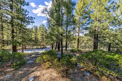 1205 Douglas Fir Drive, Reno, NV 89511 - Photo 21