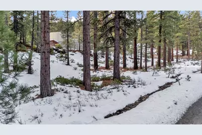 1205 Douglas Fir Drive, Reno, NV 89511 - Photo 9