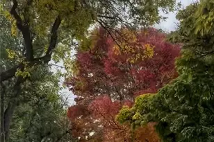 611 Nixon Ave, Town out of Area, NV 89509 - Photo 23