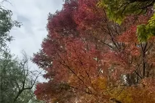 611 Nixon Ave, Town out of Area, NV 89509 - Photo 19