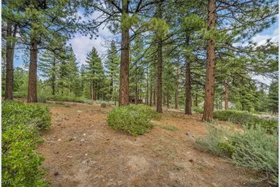 307 E Jeffrey Pine, Reno, NV 89511 - Photo 7