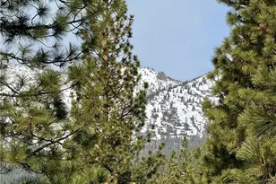 333 Ski Way, Incline Village, NV 89451 - Photo 27