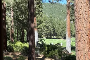 908 Harold Dr, Incline Village, NV 89451 - Photo 3