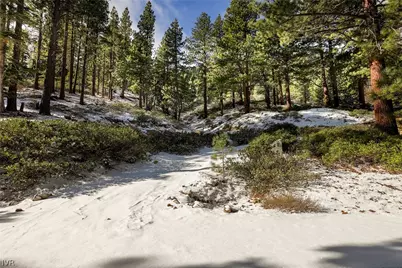 20102 Hibbet Trail, Reno, NV 89511 - Photo 37