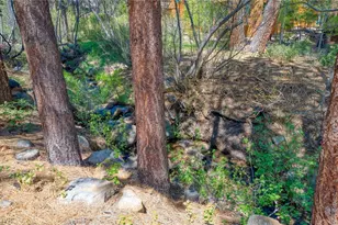 643 Rosewood Cir, Incline Village, NV 89451 - Photo 43
