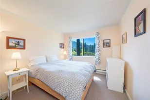 948 Harold Dr, Incline Village, NV 89451 - Photo 5