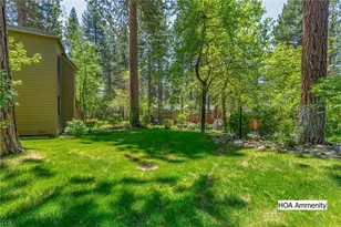 136 Juanita Dr, Incline Village, NV 89451 - Photo 15