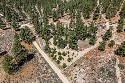 250 Jacks Valley Ranch, Town out of Area, NV 89705 - Photo 49