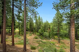 856 Lake Country Dr, Incline Village, NV 89451 - Photo 5