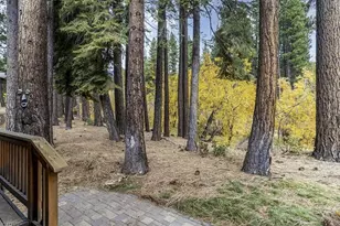 929 Northwood Blvd, Incline Village, NV 89451 - Photo 3
