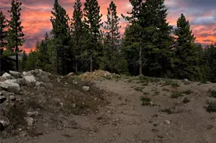 20600 Old Mt Rose Hwy, Reno, NV 89511 - Photo 1