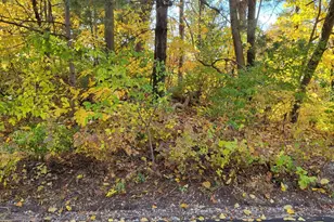 0 Chestnut Ct, Ogden Dunes, IN 46368 - Photo 1