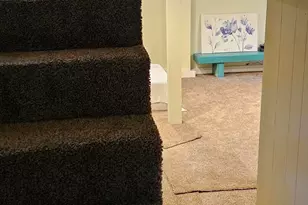 6225 Forest Ave, Gary, IN 46403 - Photo 73