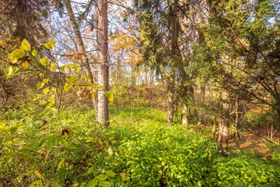 0 Ridge Rd, Long Beach, IN 46360 - Photo 17
