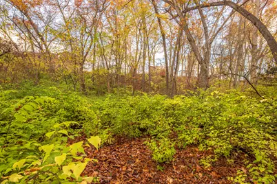 0 Ridge Rd, Long Beach, IN 46360 - Photo 19