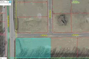 13815 Wicker Ave, Cedar Lake, IN 46303 - Photo 5