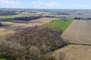 56803 Tulip Rd, New Carlisle, IN 46552 - Photo 3