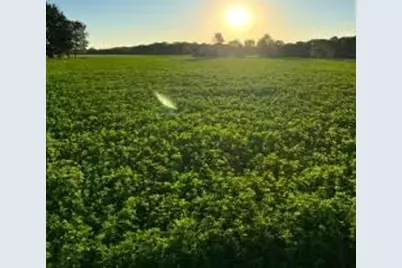 56803 Tulip Road, New Carlisle, IN 46552 - Photo 19