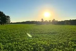 56803 Tulip Rd, New Carlisle, IN 46552 - Photo 19