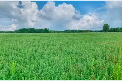 56803 Tulip Road, New Carlisle, IN 46552 - Photo 7