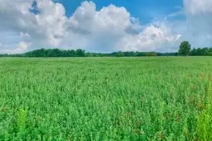 56803 Tulip Rd, New Carlisle, IN 46552 - Photo 7