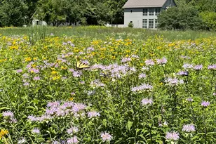 126 W 625 N, Valparaiso, IN 46385 - Photo 71