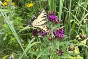 126 W 625 N, Valparaiso, IN 46385 - Photo 69