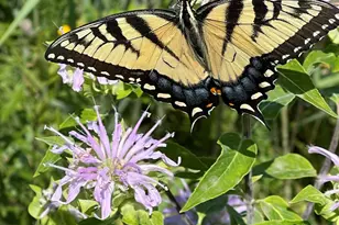 126 W 625 N, Valparaiso, IN 46385 - Photo 67