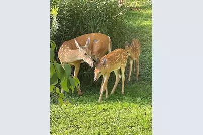 126 W 625 N, Valparaiso, IN 46385 - Photo 63