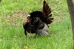 126 W 625 N, Valparaiso, IN 46385 - Photo 65