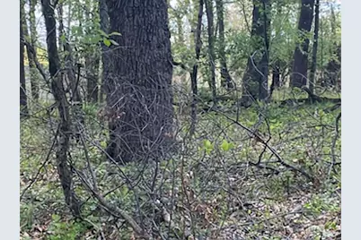 10411 Cynthia Lane, Wheatfield, IN 46392 - Photo 3