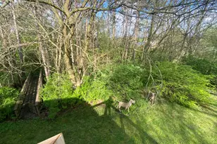 4311 Hogan Ct, Crown Point, IN 46307 - Photo 71