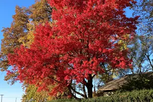 15301 W Clark St, Rensselaer, IN 47978 - Photo 11