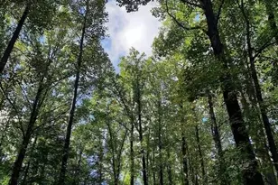 10 Blackberry Trail, Michigan City, IN 46360 - Photo 3